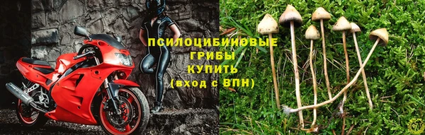 дмт Армянск