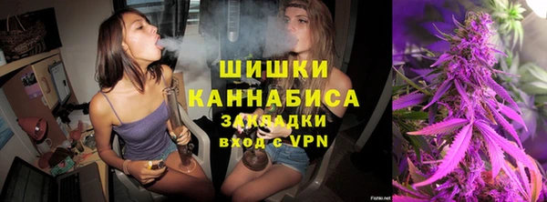 spice Алзамай