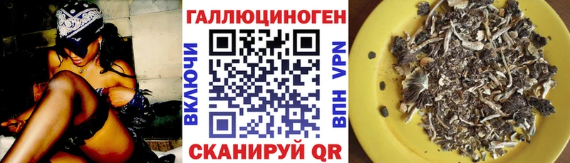купить наркоту  Староминская  Псилоцибиновые грибы Magic Shrooms 