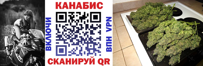 Каннабис MAZAR  как найти закладки  Староминская 